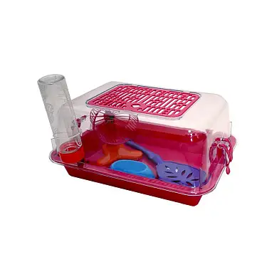 ZOOexpress террариум с пластиковой дверкой (с комплектацией) прозрачный малый